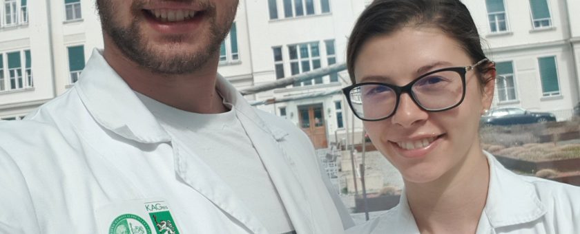 Je Avstrija za mladega medicinca obljubljena dežela?
