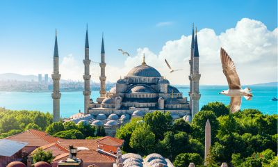 Brezplačen tečaj turškega jezika!