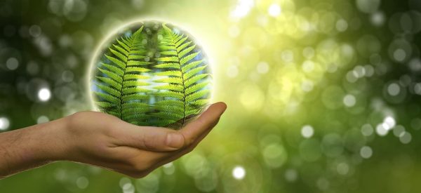 GREEN HACKATHON – ROOT TO FORK: CUTTING THE MIDDLEMAN FOR A GREENER FUTURE