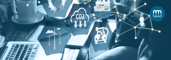 DESIGNING SUSTAINABILITY STRATEGIES