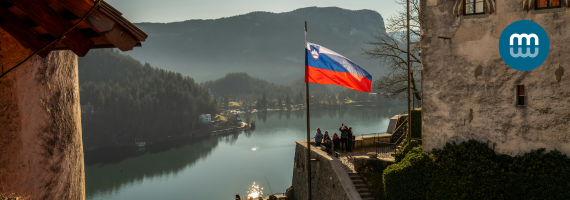 SLOVENŠČINA IN SLOVANSKI JEZIKI NA PRVI POGLED/SLOVENE AND SLAVIC LANGUAGES AT FIRST SIGHT